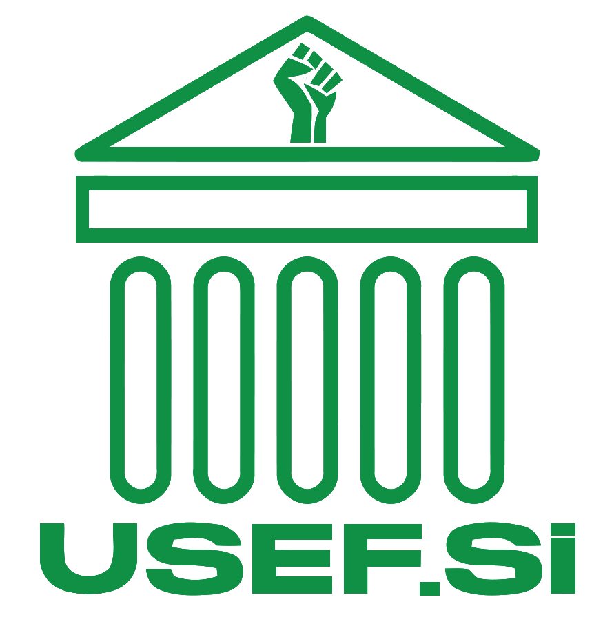 usefsi-main